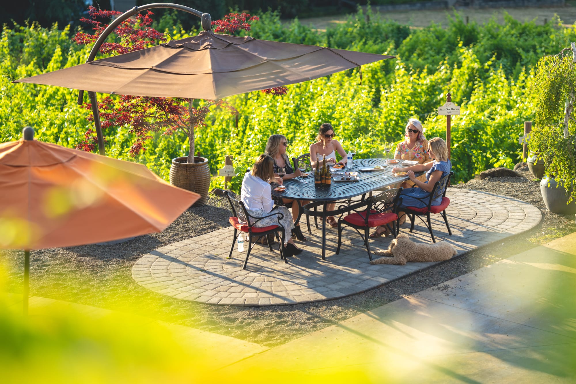 Ladies enjoying wine at a local vineyard in Roseburg, Oregon