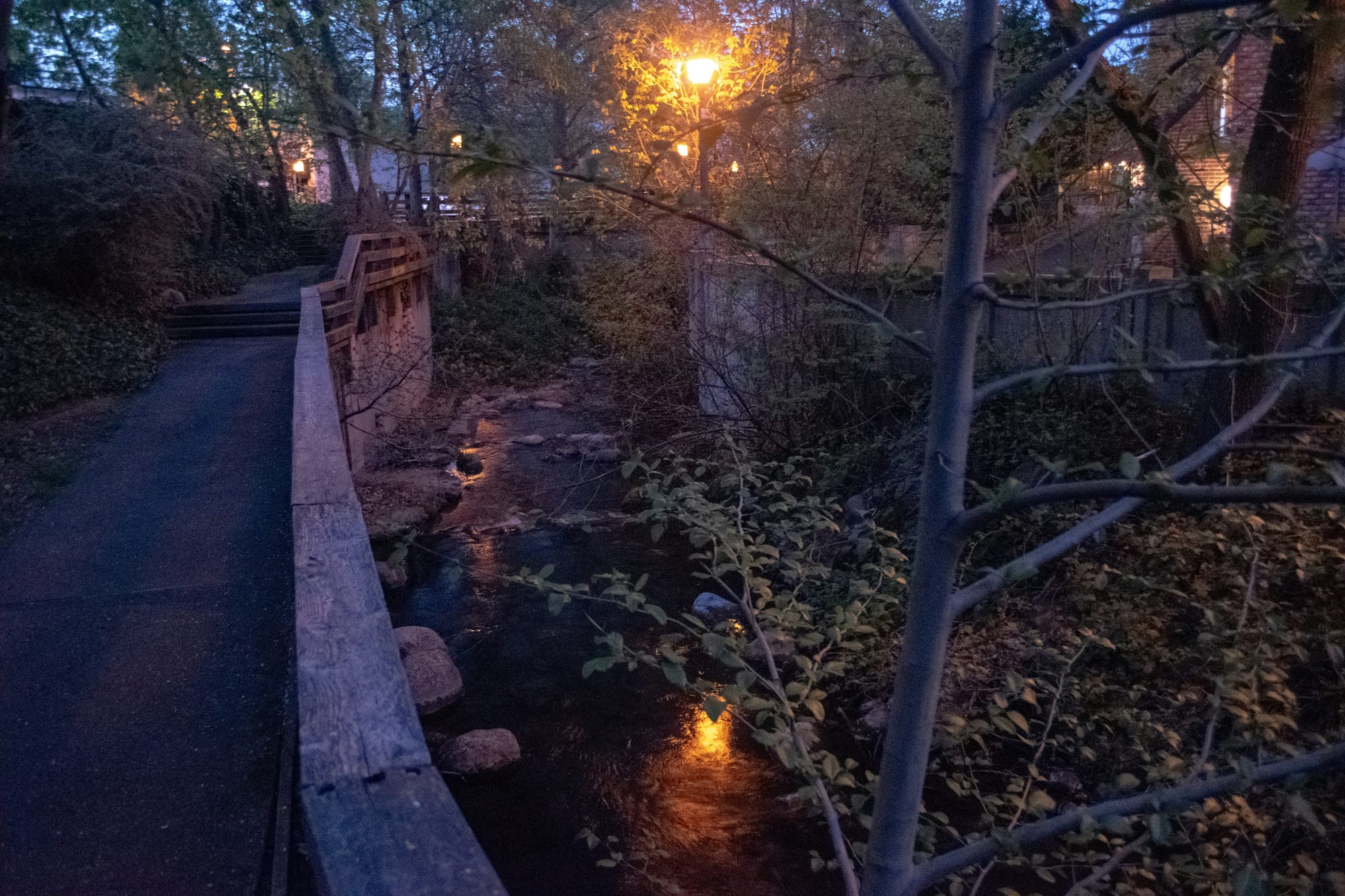 Creek running through Ashland, Oregon during the evening