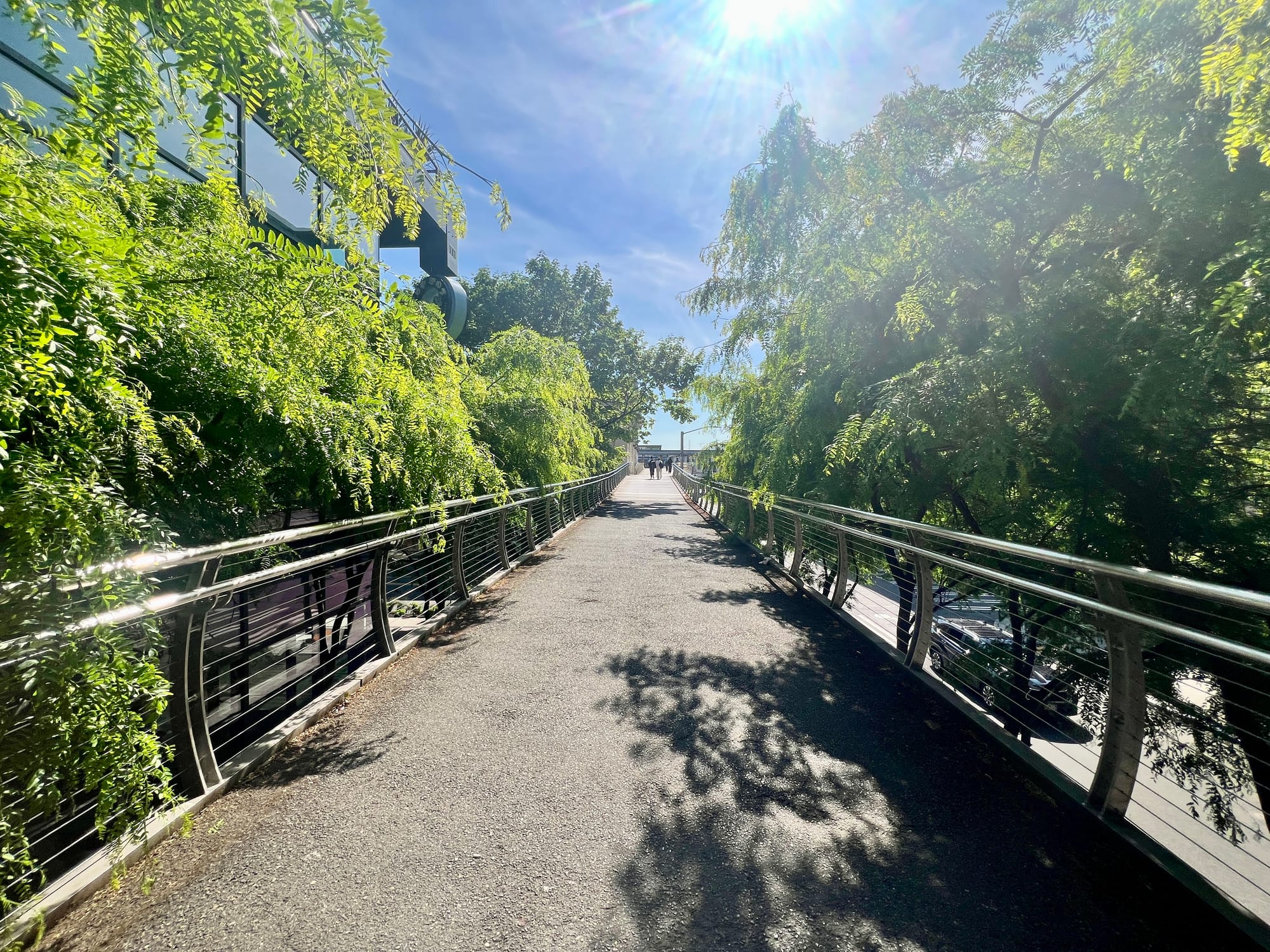 Pedestrian Bridge in Seattle