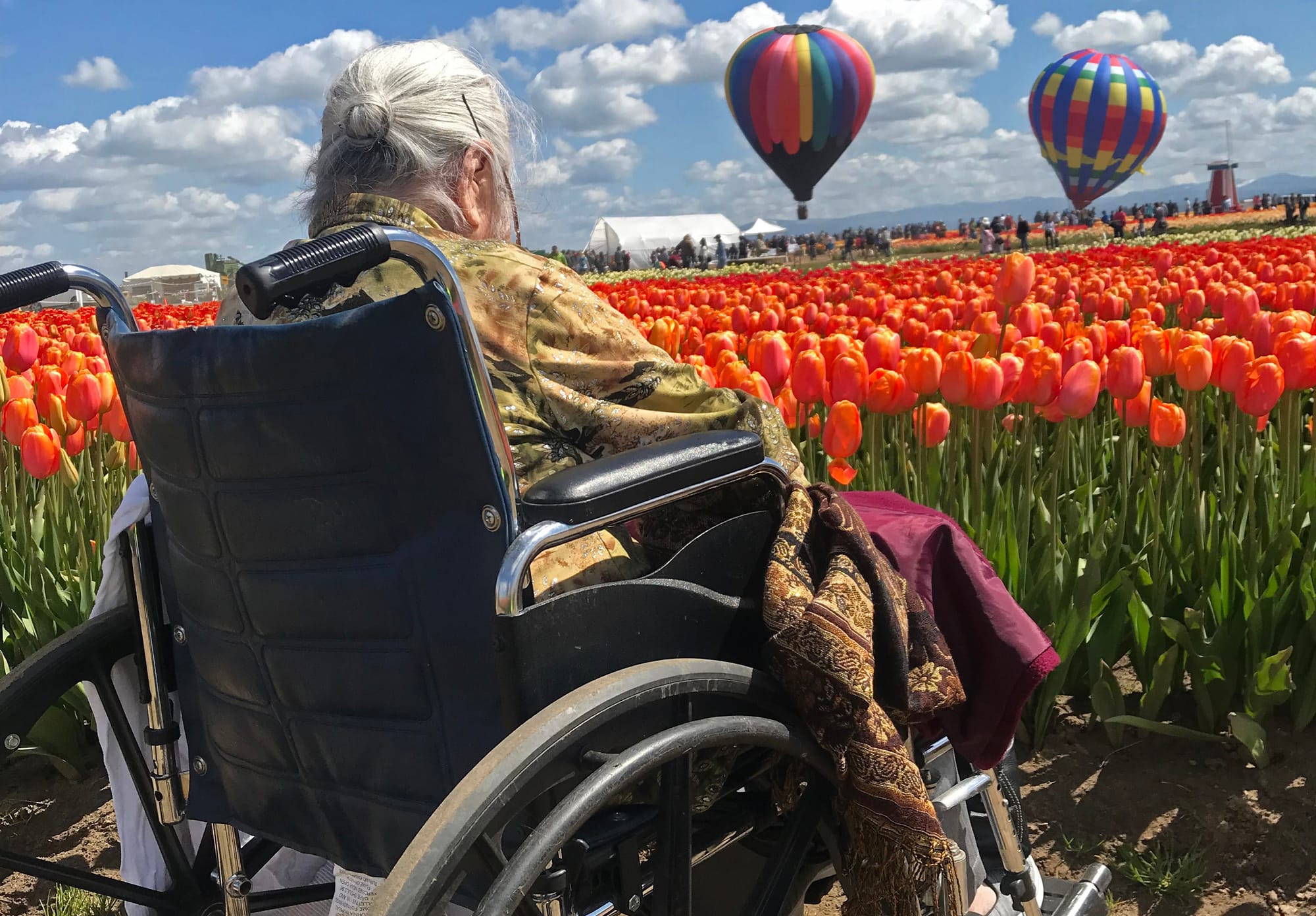 Wheelchair user at the Wooden Shoe Tulip Festival in Salem