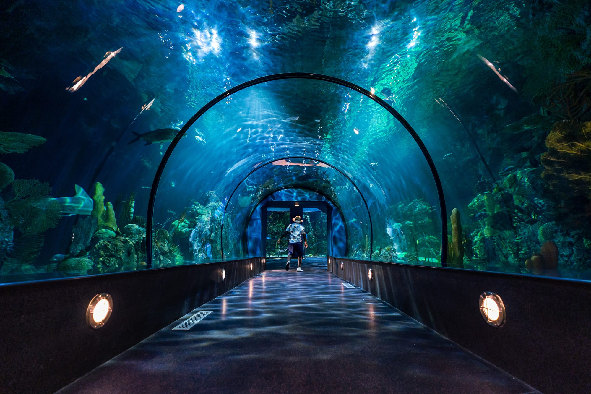 Aquarium Pyramid in Galveston