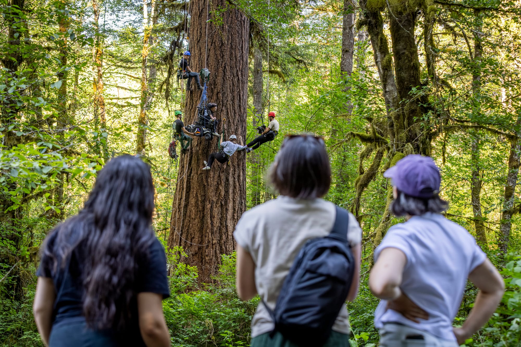 Shane and Hannah Burcaw trying adaptive tree climbing in Silver Falls State Park