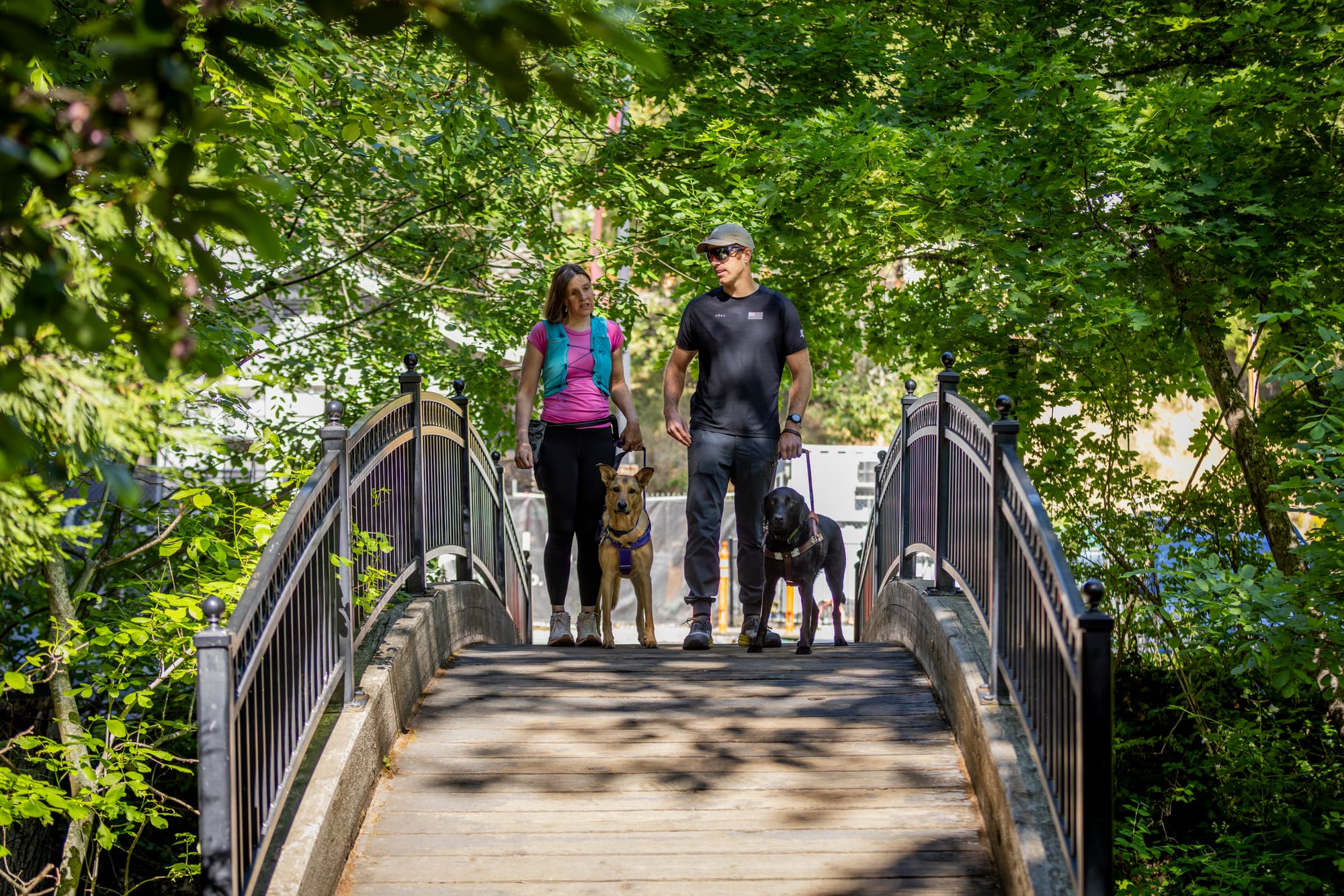 Blind travelers walking service dogs in Lithia Park, Ashland