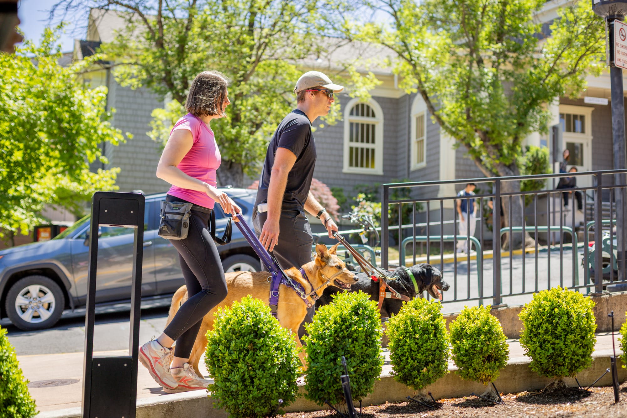Blind couple with service dogs walking around Ashland, Oregon