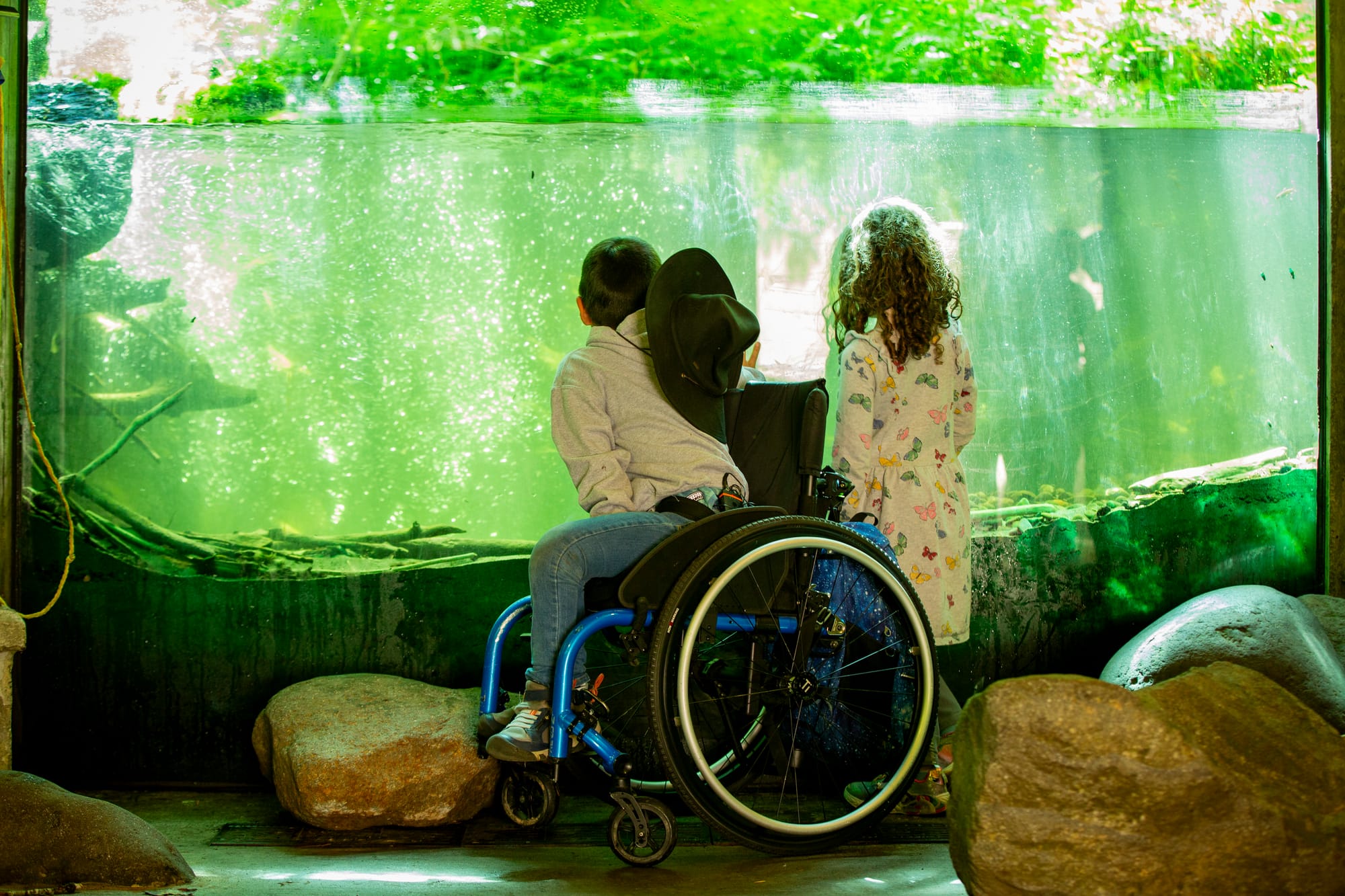 Boy, wheelchair user, and girl looking at fish from the viewing deck at Cascade Streamwatch Trail