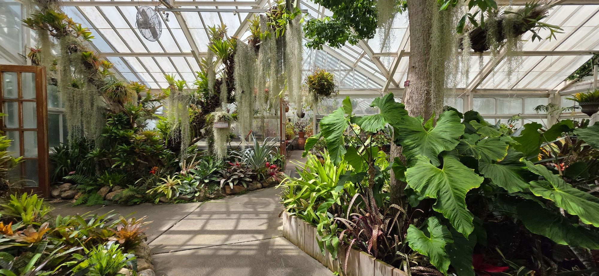 Inside of plant greenhouse at Planting Fields in Long Island