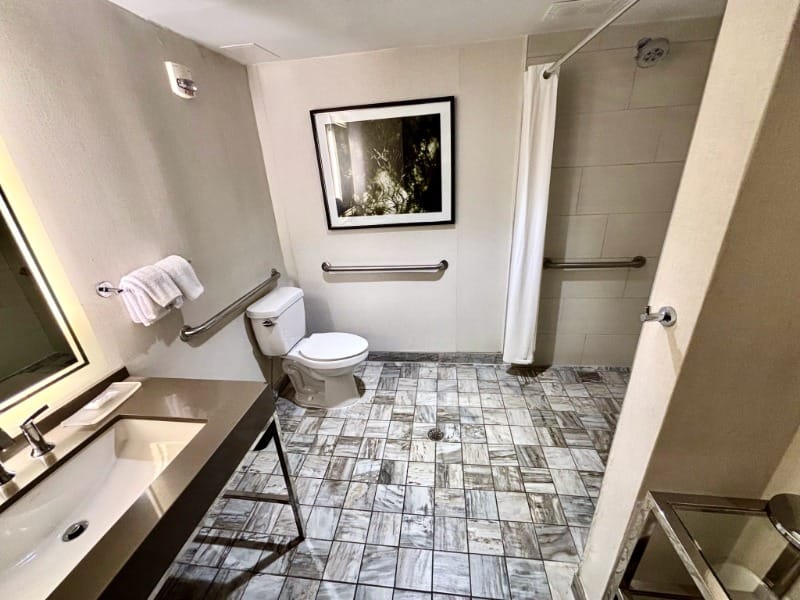Accessible roll-in shower and grab bars at Hyatt Regency Savannah