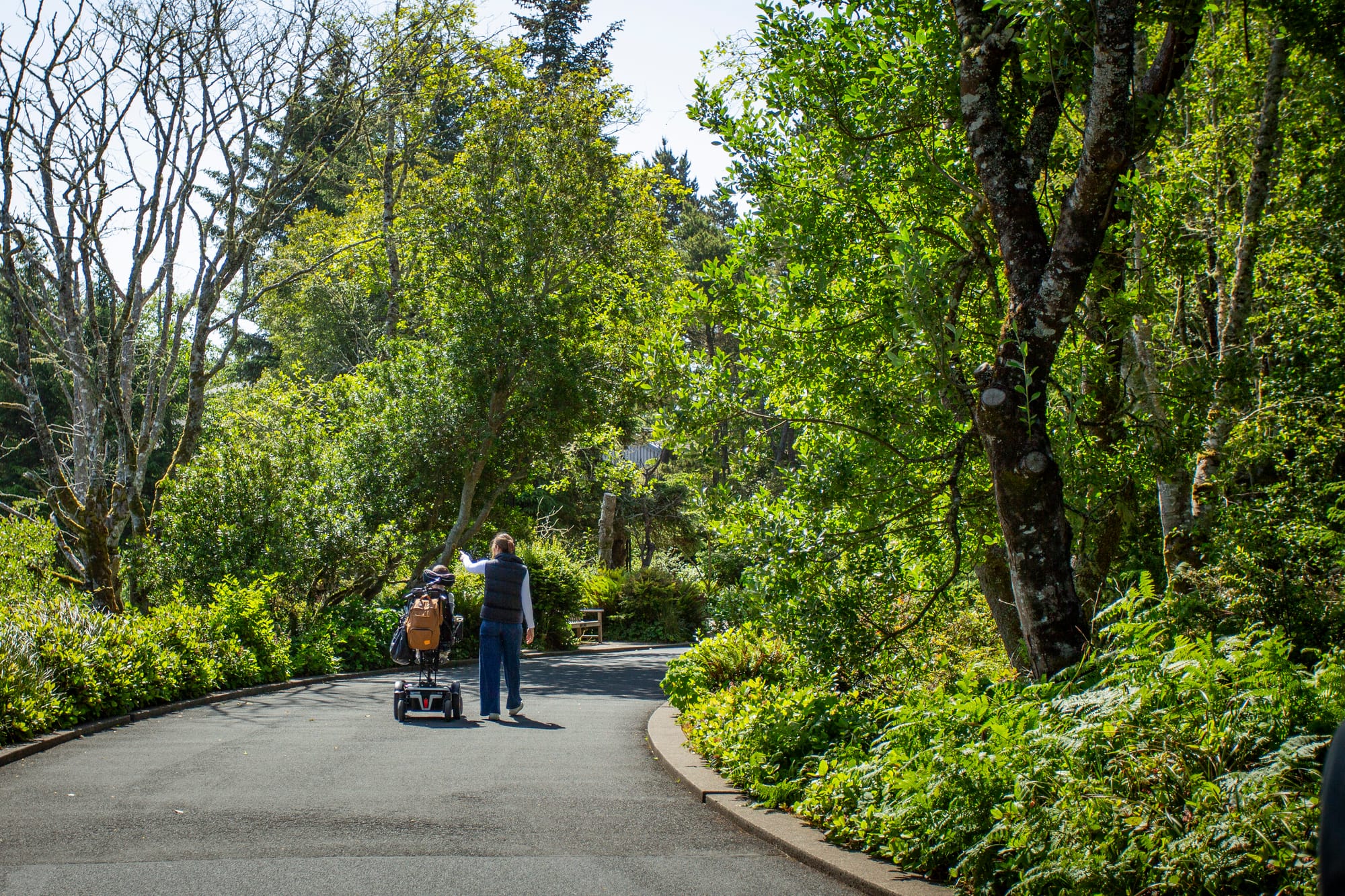 Wheelchair accessible riverwalk trail in Astoria