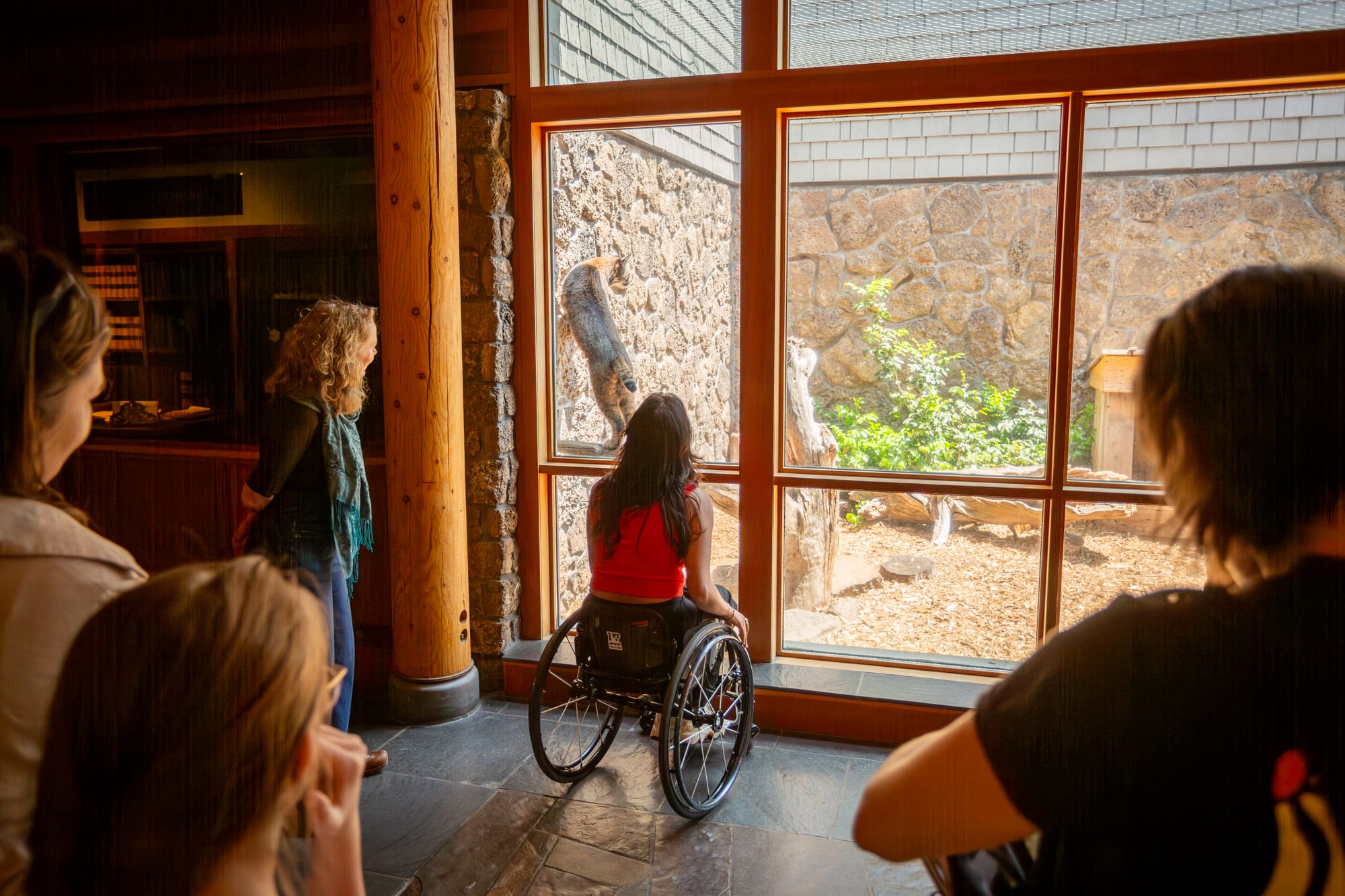 Kaylee, a wheelchair user, looking at exhibits at the High Desert Museum
