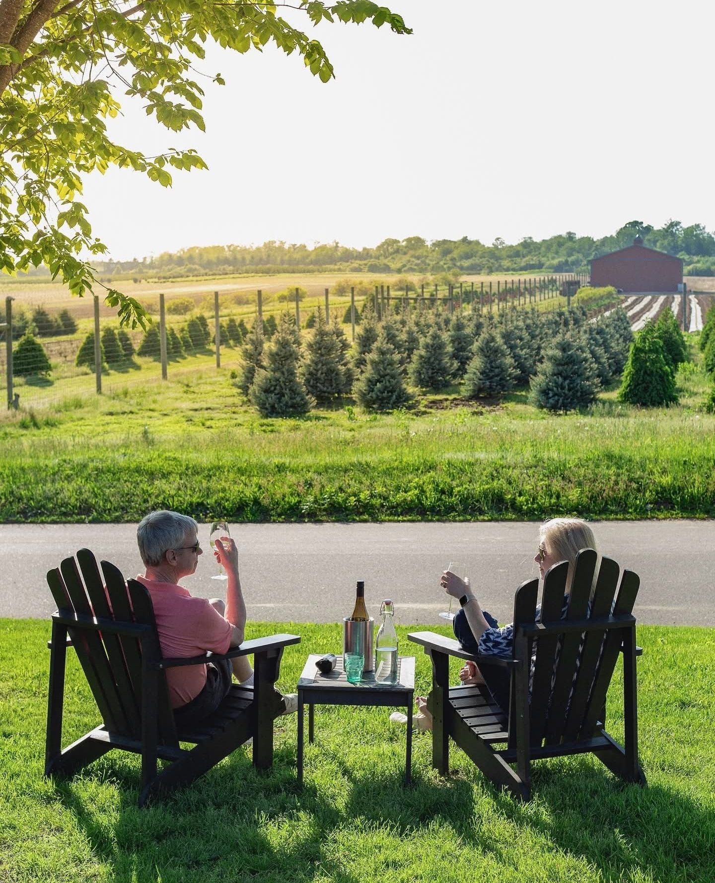 Couple enjoying wine at Suhru & Lieb Vineyards