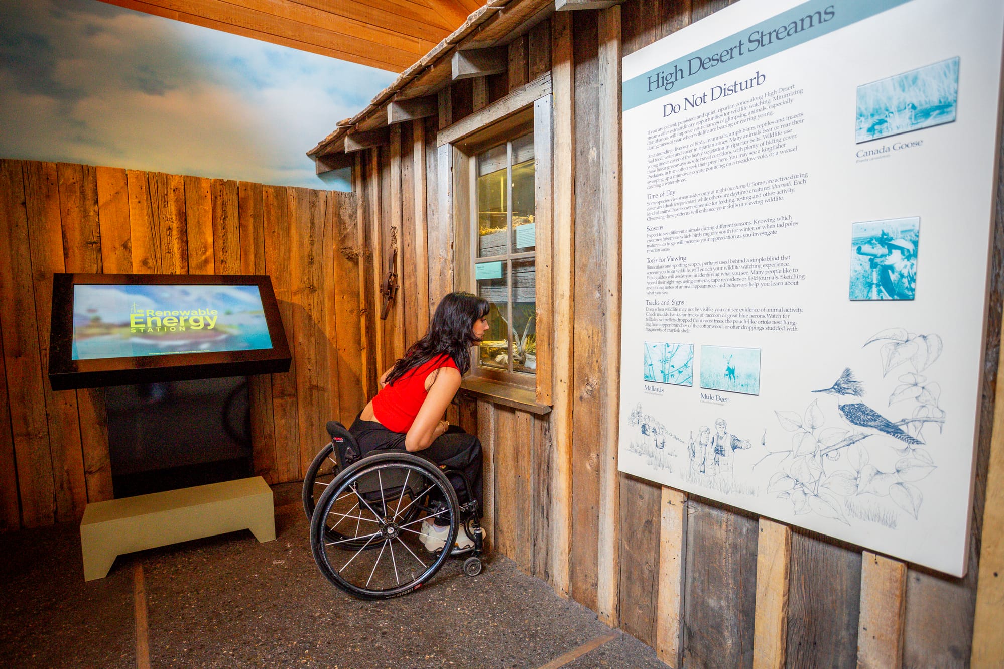 Kaylee Bays, wheelchair user, looking at wildlife at High Desert Museum
