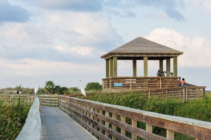 Boardwalk at Nature Preserve at Charlie's Pasture