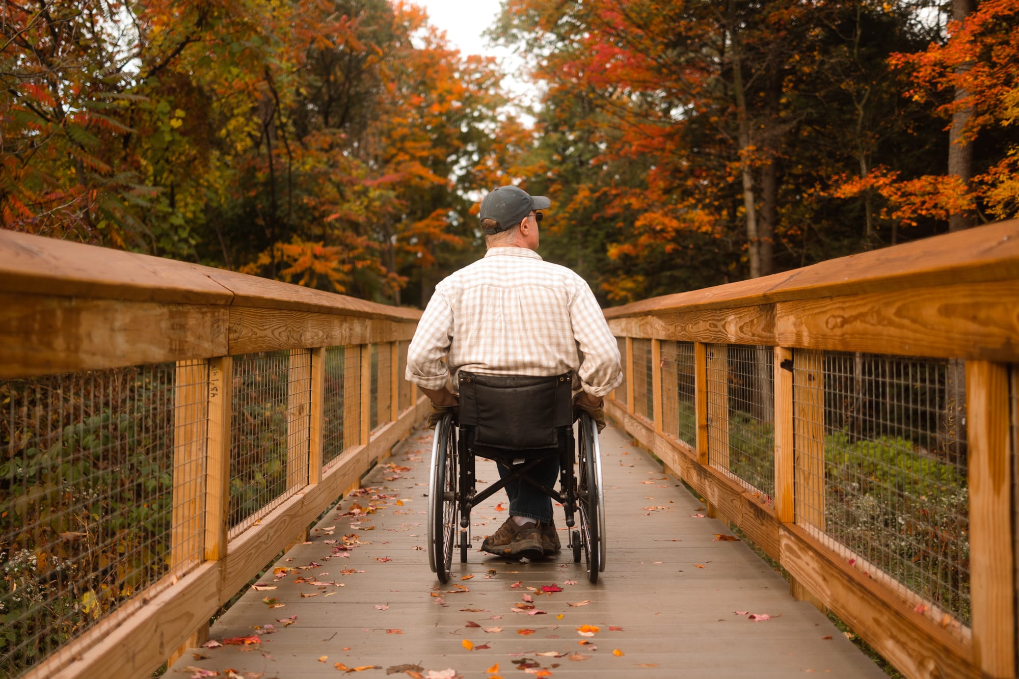 Wheelchair user on a bridge with fall foliage in the background