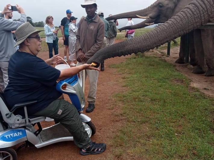Wheelchair user feeding an elephant in South Africa