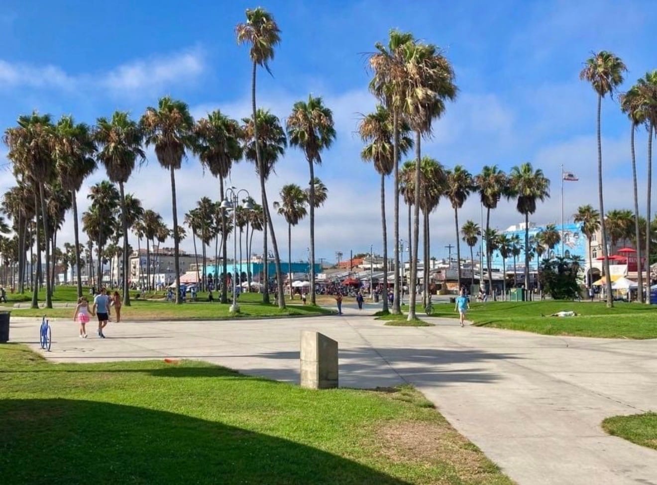Venice Beach with palm trees and paths