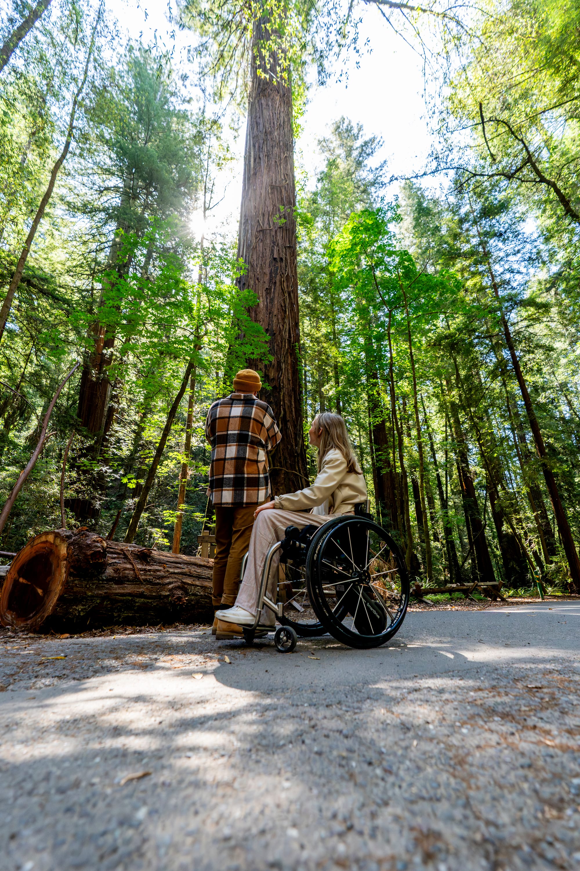 Wheelchair user and her boyfriend looking up at a giant tree in Armstrong Redwoods State Natural Preserve