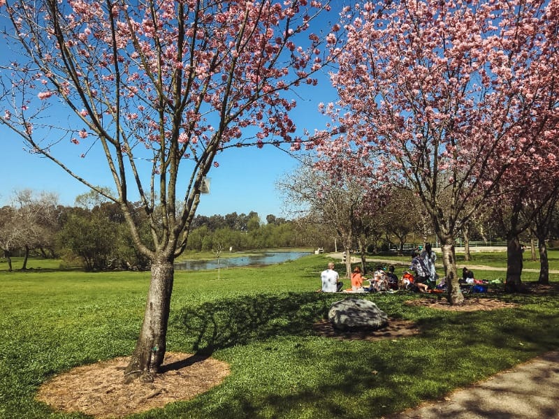 Family enjoying a picnic at Beach Central Park