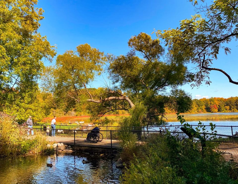 Wheelchair user on accessible trails at W.K. Kellogg Bird Sanctuary near Kalamazoo