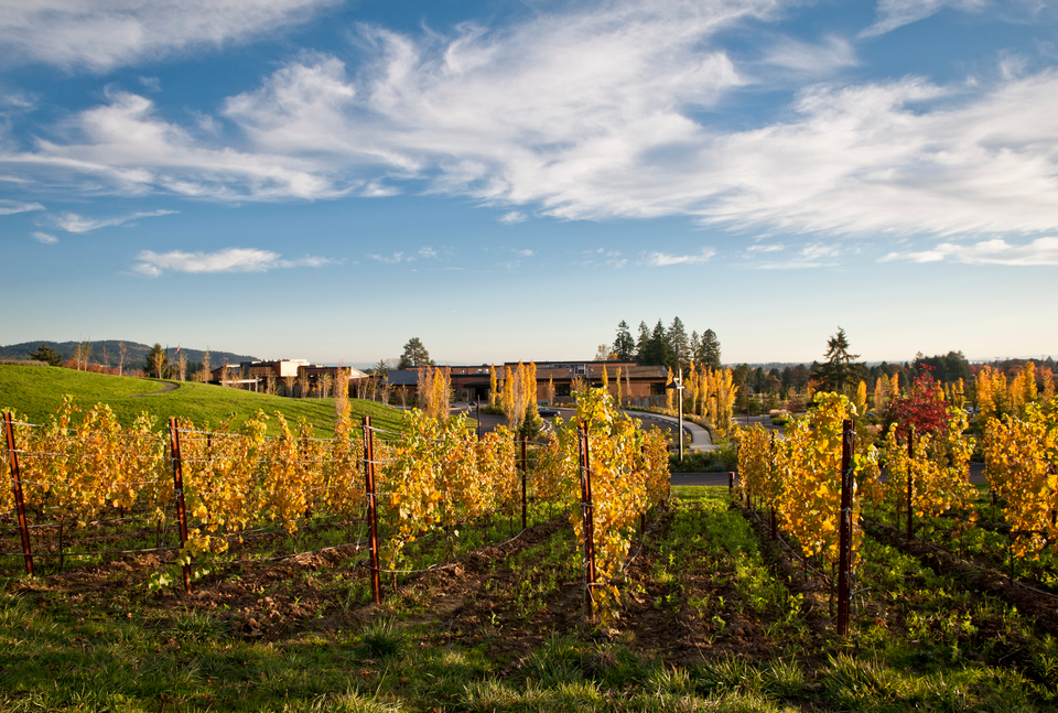 Accessible Newberg, Oregon: Where Wine Country Meets Inclusion