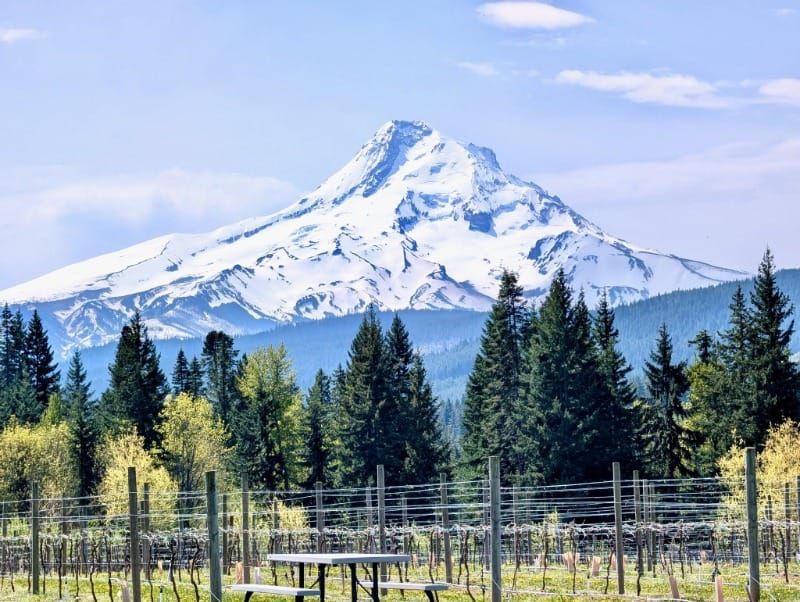 Your Accessible Guide to Hood River, Oregon