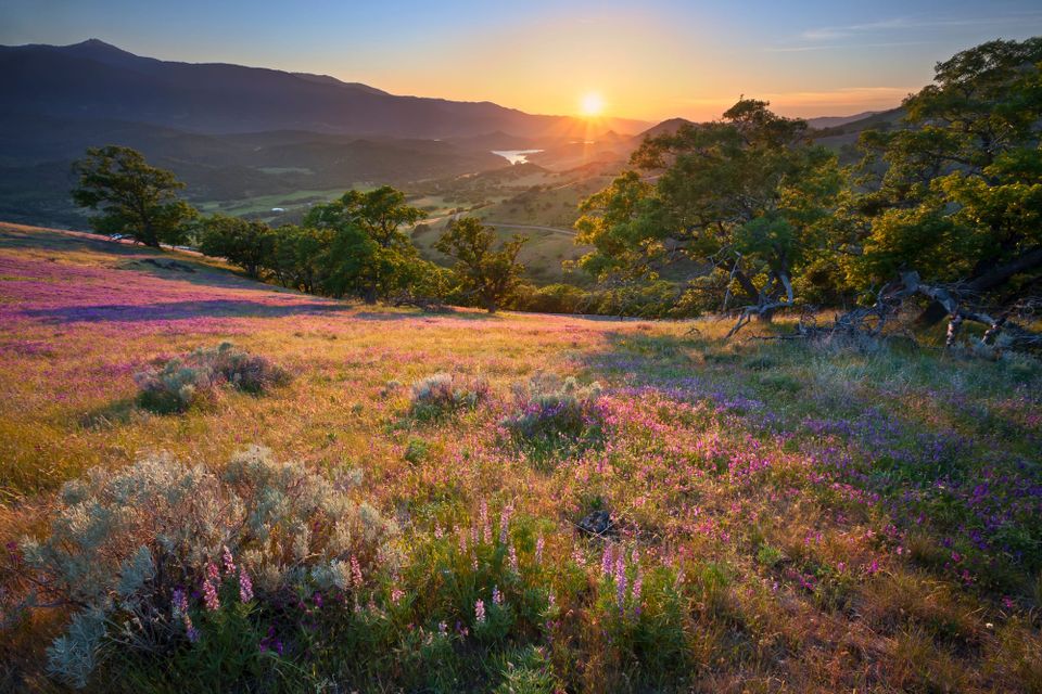 7 Accessible Oregon Towns to Stop and Explore