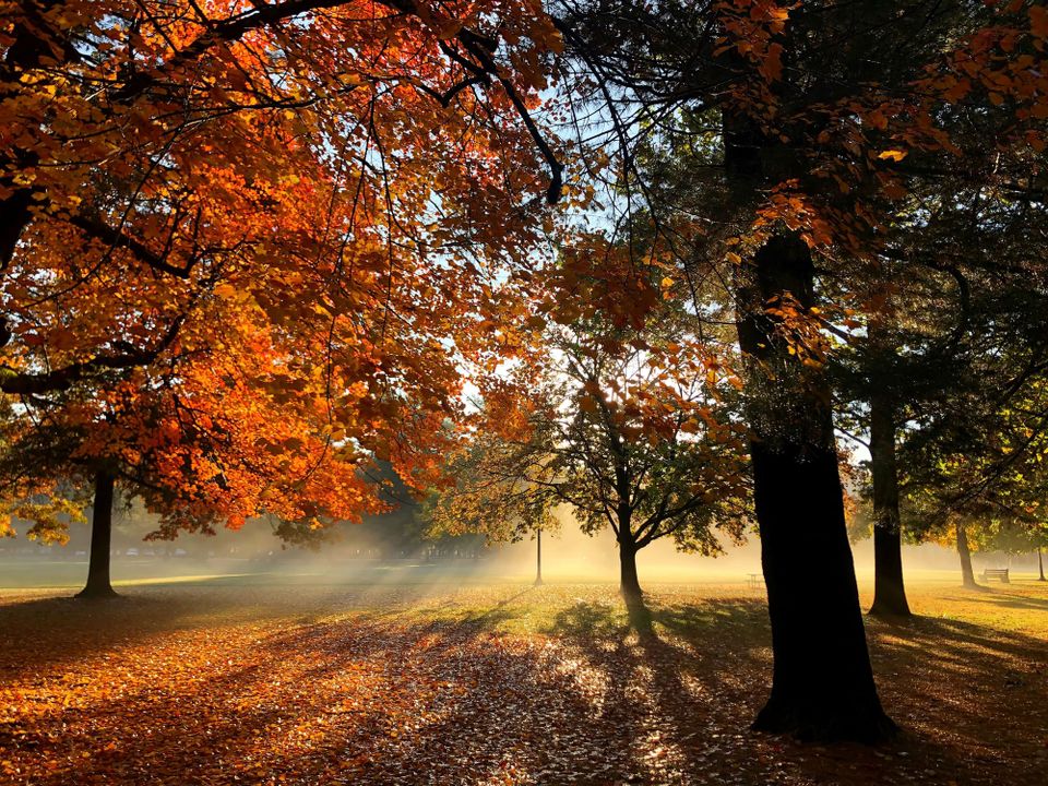 Saratoga Spa State Park in fall