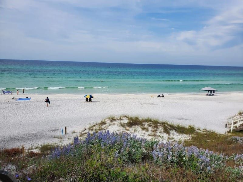 4 Accessible Beaches in Walton County, Florida