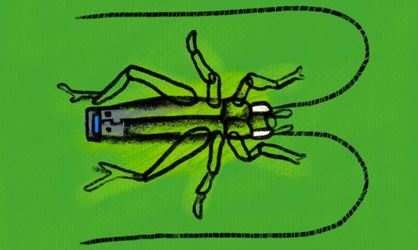 A Close Look at Cricket Wireless and Its Plans