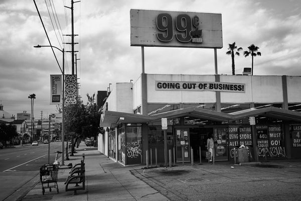 Recent Photographs 06142024