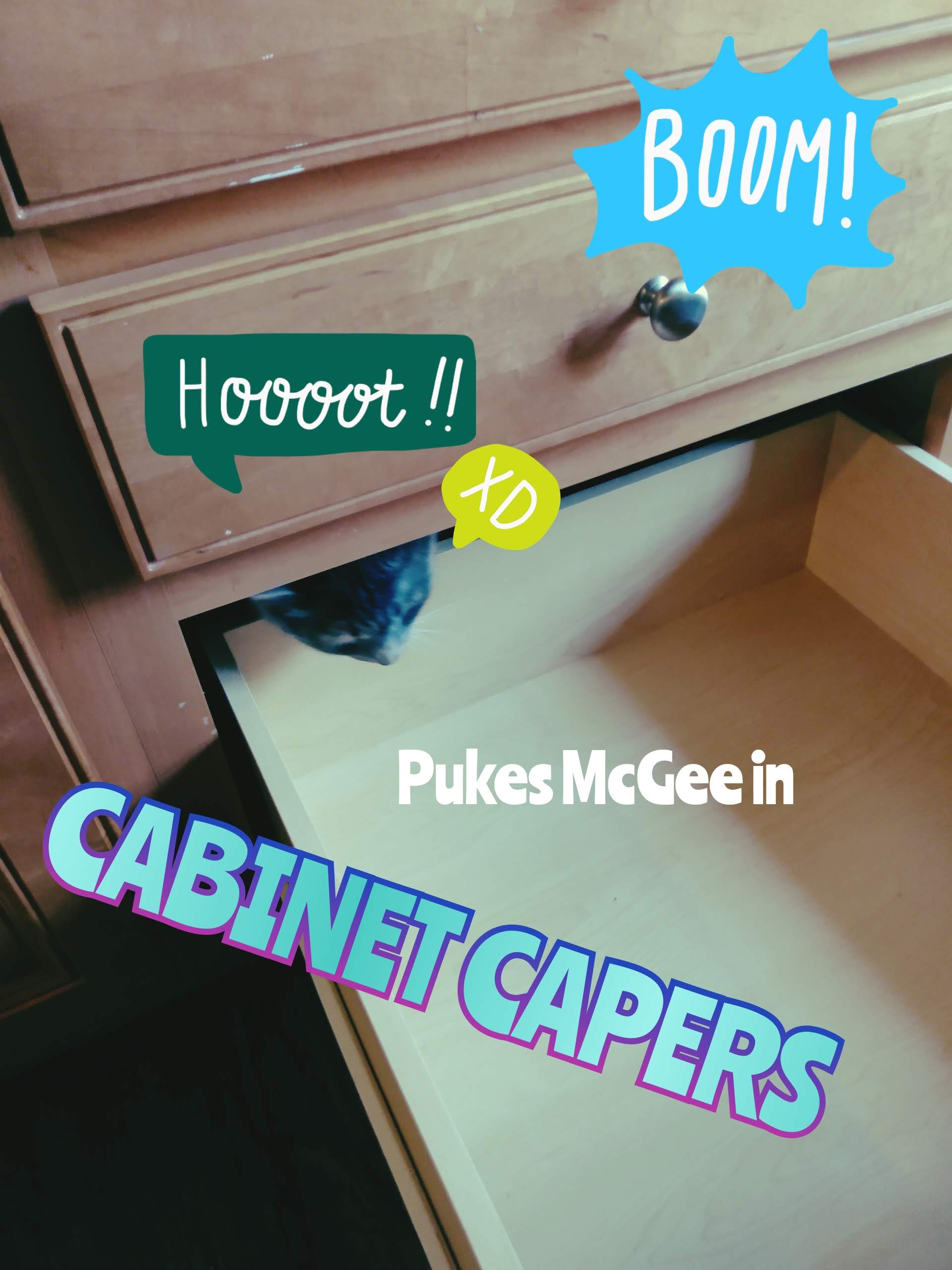 Pukes McGee (aka "Mean Lil Ass") with their head sticking out from BEHIND the cabinet. I was late to work that day getting her out. 
<p>Wording on the image includes: BOOM! in a blue explosion emoji, Hoooot!! and XD in speech bubbles. Caption reads "Pukes McGee in Cabinet Capers."" loading="lazy" width="225" height="300"><figcaption>HOW DID SHE DO THAT?</figcaption></figure></p>
<!-- wp:paragraph -->
<p>Together, they can be annoying jerks!</p>
<!-- /wp:paragraph -->
<!-- wp:paragraph -->
<p>Like I said, the House Panther loves to eat. And he is impatient. So he meows. In your face. And he will paw at the noisiest, most annoying material he can find until you feed him. And that kitten energy has MLA writing checks that her fur can't cash. Fur literally flies, and she will give back just as good-- and louder. Have you ever jolted awake to Super Smash Bros sound effects from beneath your bed? It's pretty harrowing and I do not recommend it.</p>
<!-- /wp:paragraph -->
<!-- wp:paragraph -->
<p>But they're cats. They do cat stuff. Sometimes it doesn't make sense, other times it's infuriating. Most times it's still pretty funny.</p>
<!-- /wp:paragraph -->
<!-- wp:paragraph -->
<p>MLA enjoys pushing things and hiding in small crevices. She loves to run and jump and have the expensive flatscreen TV wobble from her effort. HP loves to TELL YOU ABOUT IT, at 2 in the morning when you're supposed to be sleeping and somehow, his meows are the right pitch to evade your earplugs and white noise-- if only for the chance to butter you up with kitty snuggles before demanding his breakfast 3 hours early. Both would love to make off with an entire chicken if they could (and honestly, you can't really blame them). There's claw marks in the couch. Litter gets in my shoes. They get up to antics and Silly Shit. They make goofy faces. Both love being where they shouldn't be. And I still don't know what they're looking at, over there.</p>
<!-- /wp:paragraph -->
<figure class=