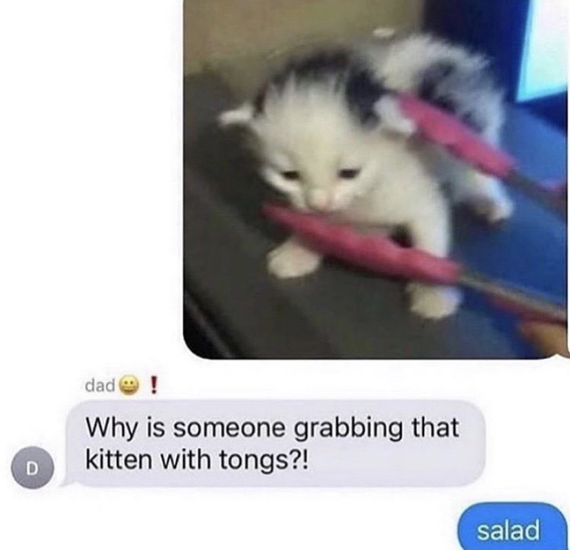 A meme with someone incredulously asking why there was a kitten being held with tongs. The answer? Salad.