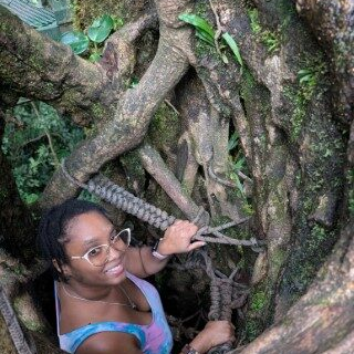 Albi climbing up a pillar of strangling fig vine-- from the inside.