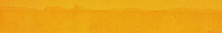 Just a swatch of orange paint...