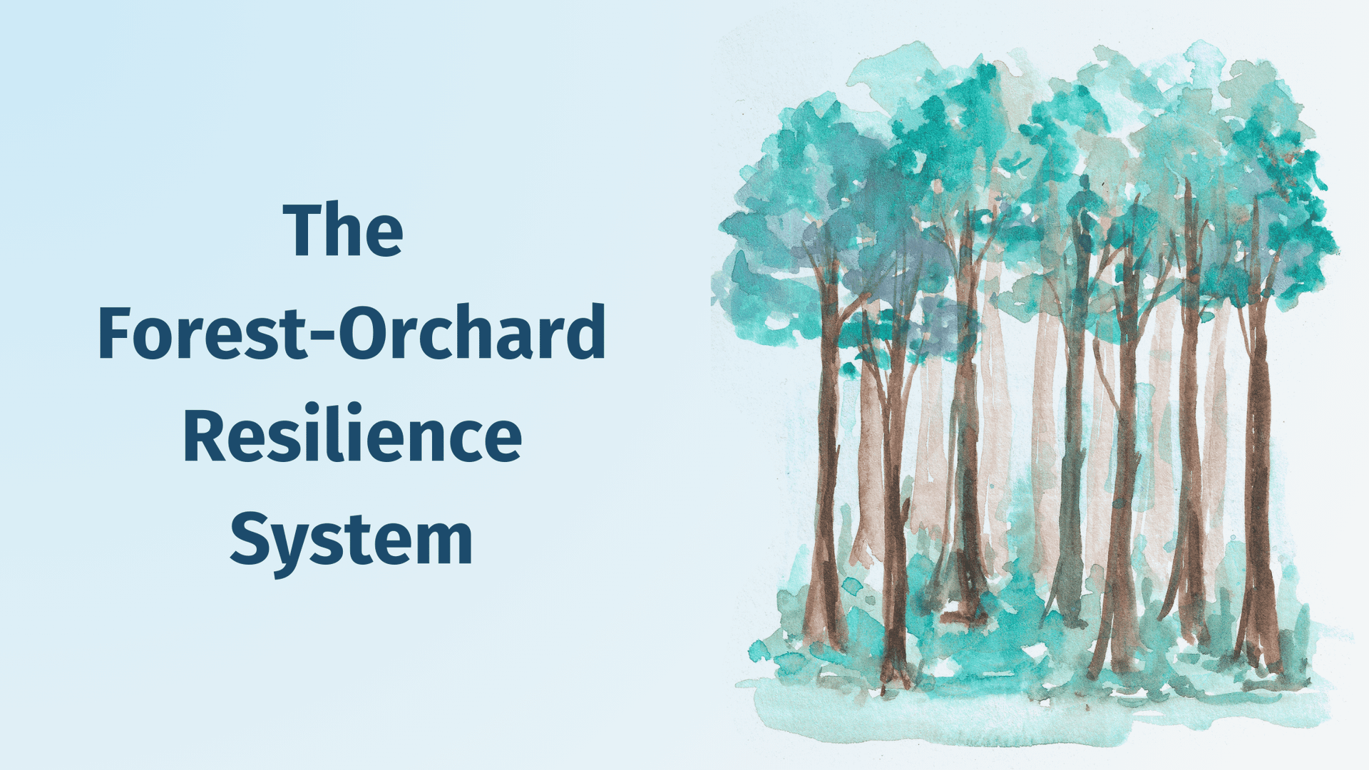 Watercolour image of a stylised forest representing the Forest.Orchard Resilience System