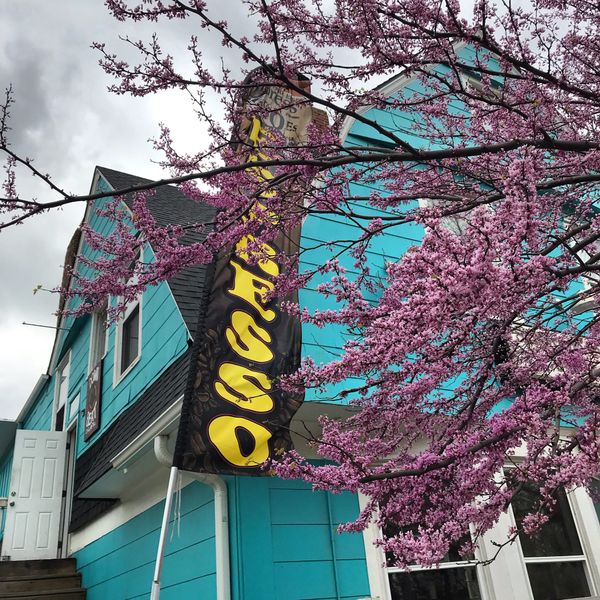 Spring at Kansas City Restaurants