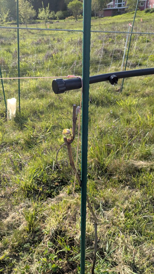 Biodiversity Challenge #1