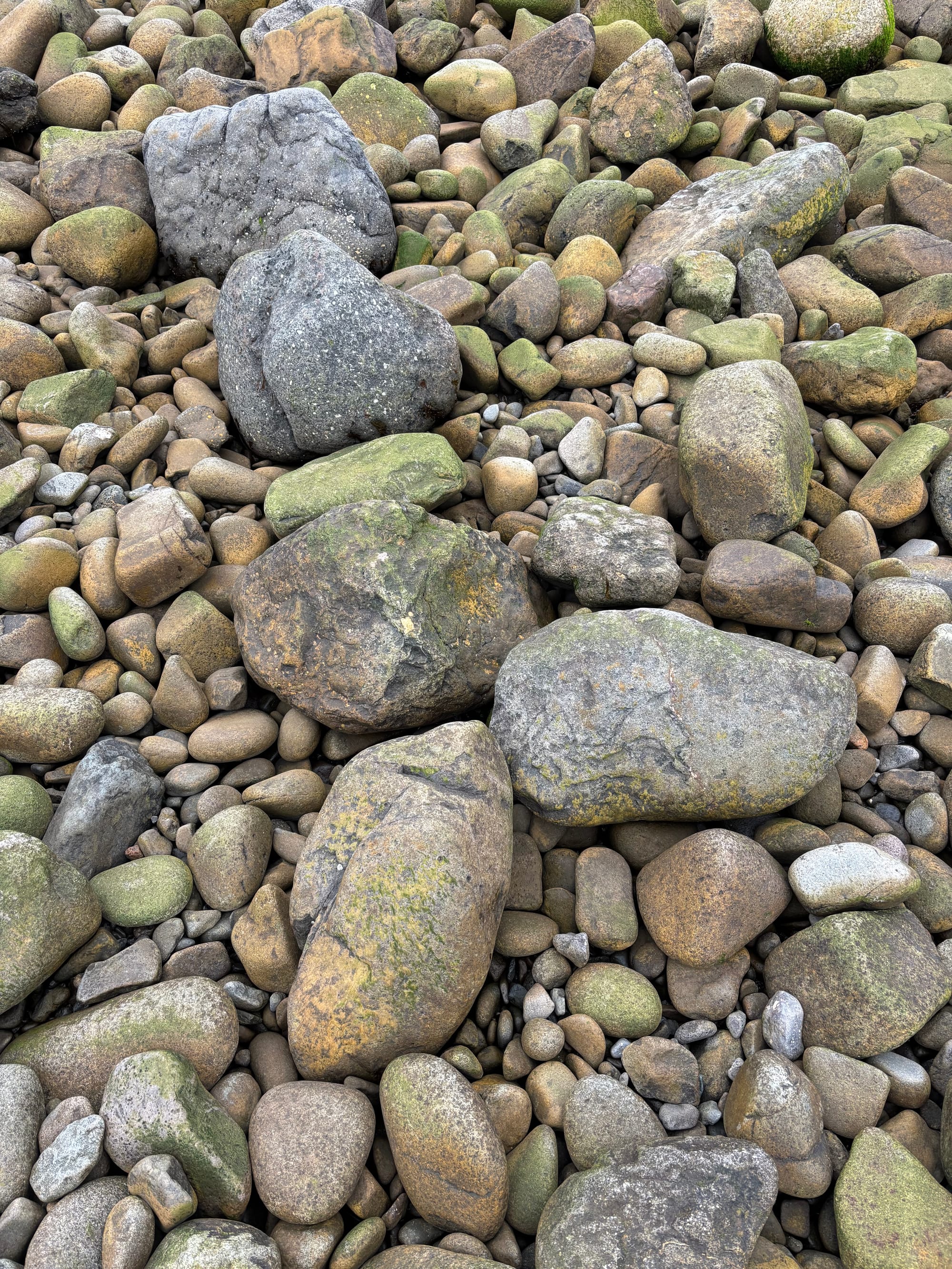 Stones on Grand Manan Island beach