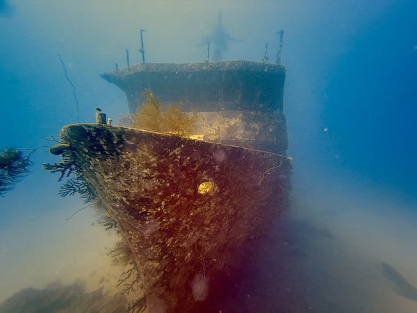The Wreck of the Salamanda