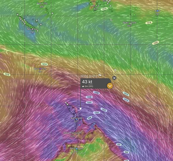 Everyone Knows it's Windy