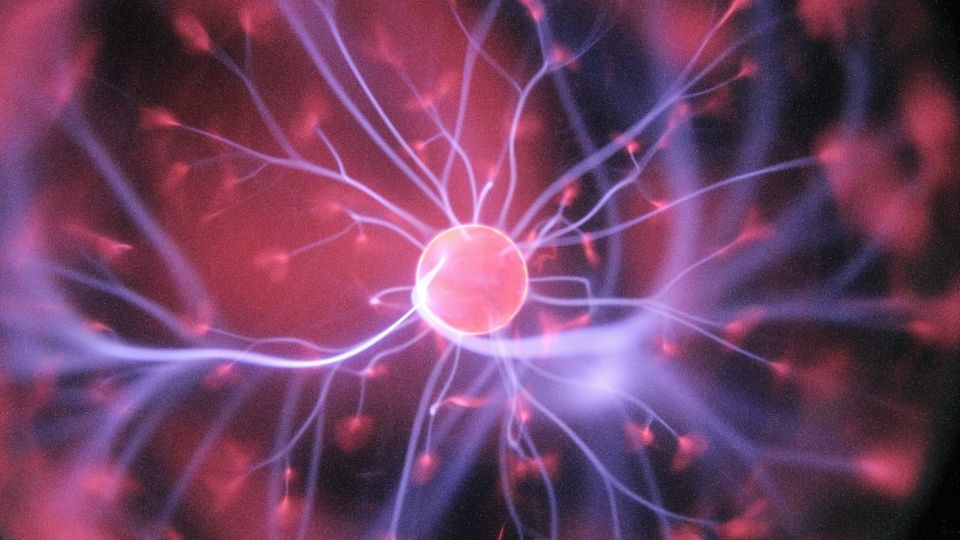 Ukraine’s controversial nuclear future