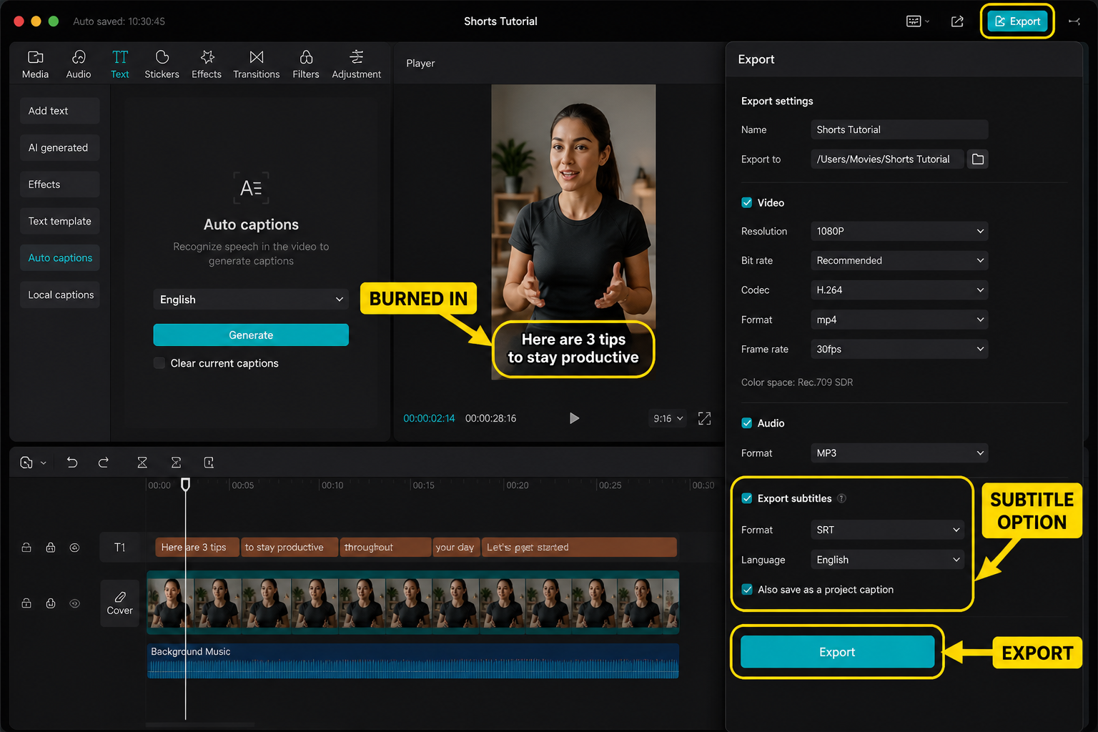 CapCut Guide visual: export screen with burned-in captions and subtitle option callouts