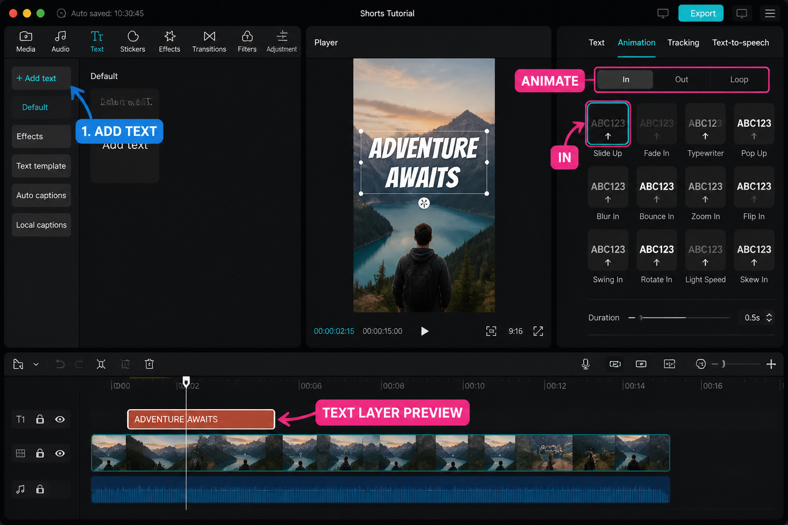 CapCut Guide visual: animation panel showing In/Out/Loop tabs and a text layer preview