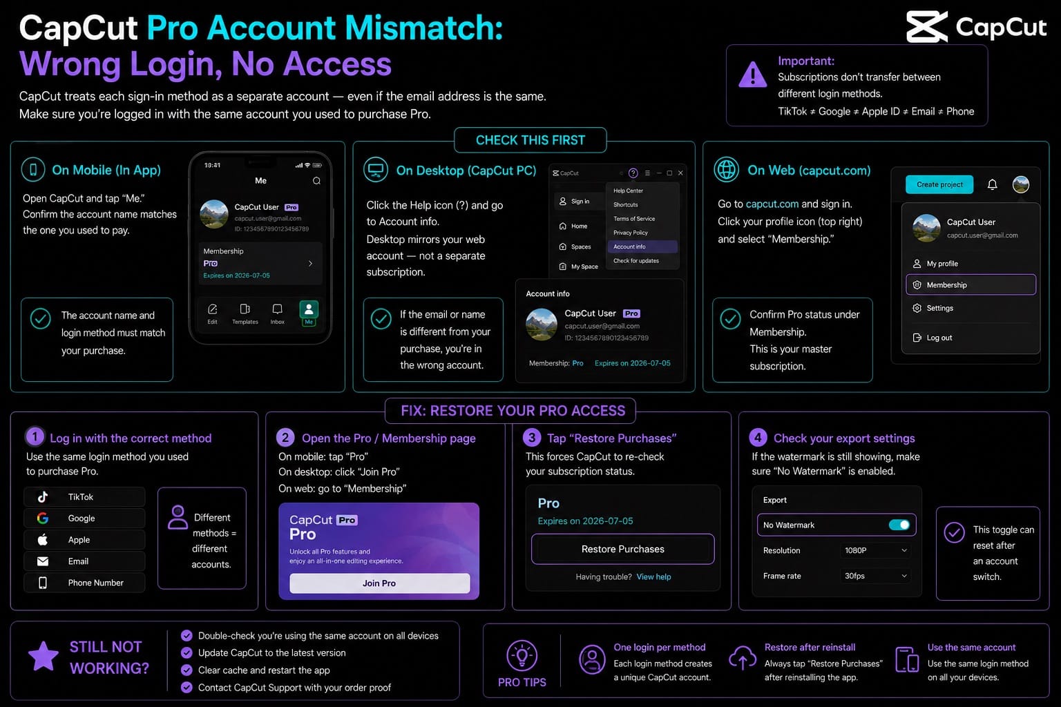 CapCut Pro account mismatch: wrong login means no access