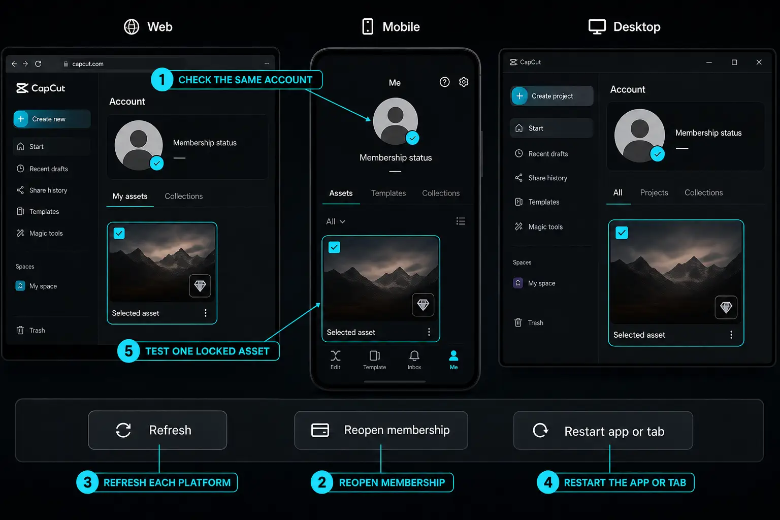 CapCut Pro account sync checks on web mobile and desktop