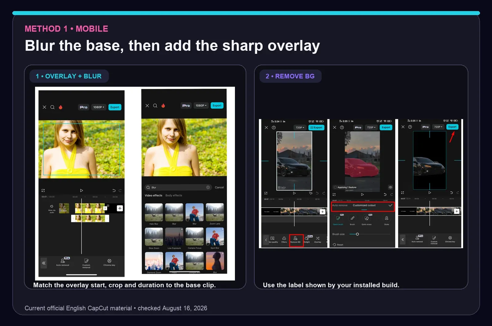 Current CapCut Mobile overlay, Blur effect and Remove BG controls for a sharp subject