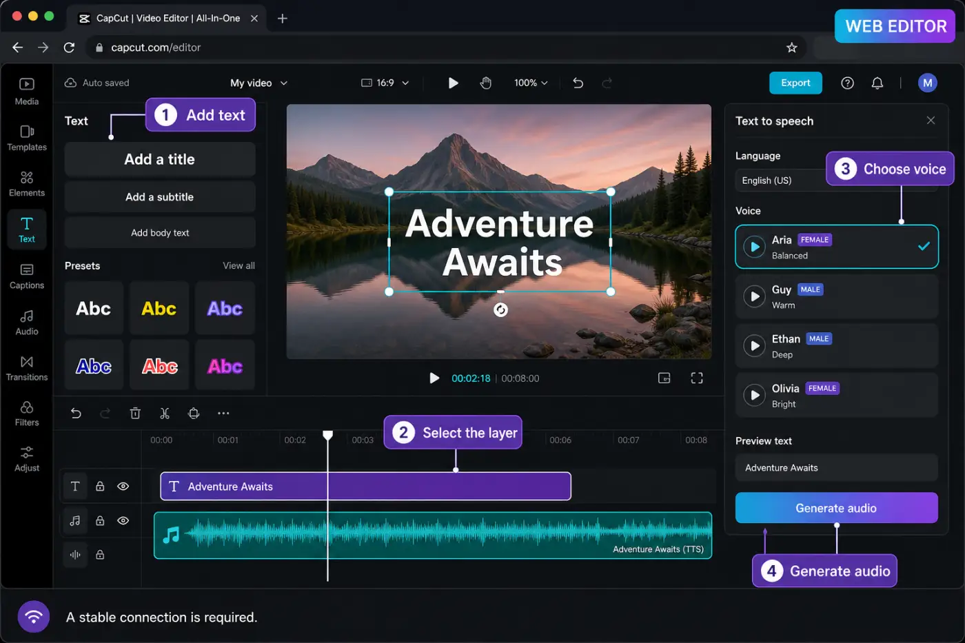 CapCut Web Editor text-to-speech workflow with selected voice and audio track