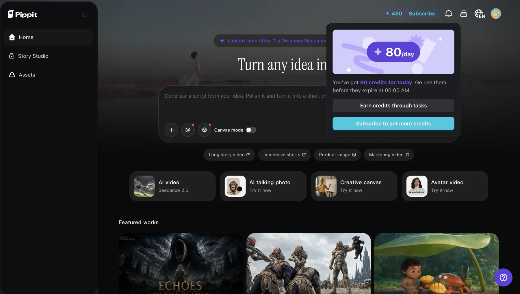 Pippit Free account showing a 480-credit balance and 80 daily credits