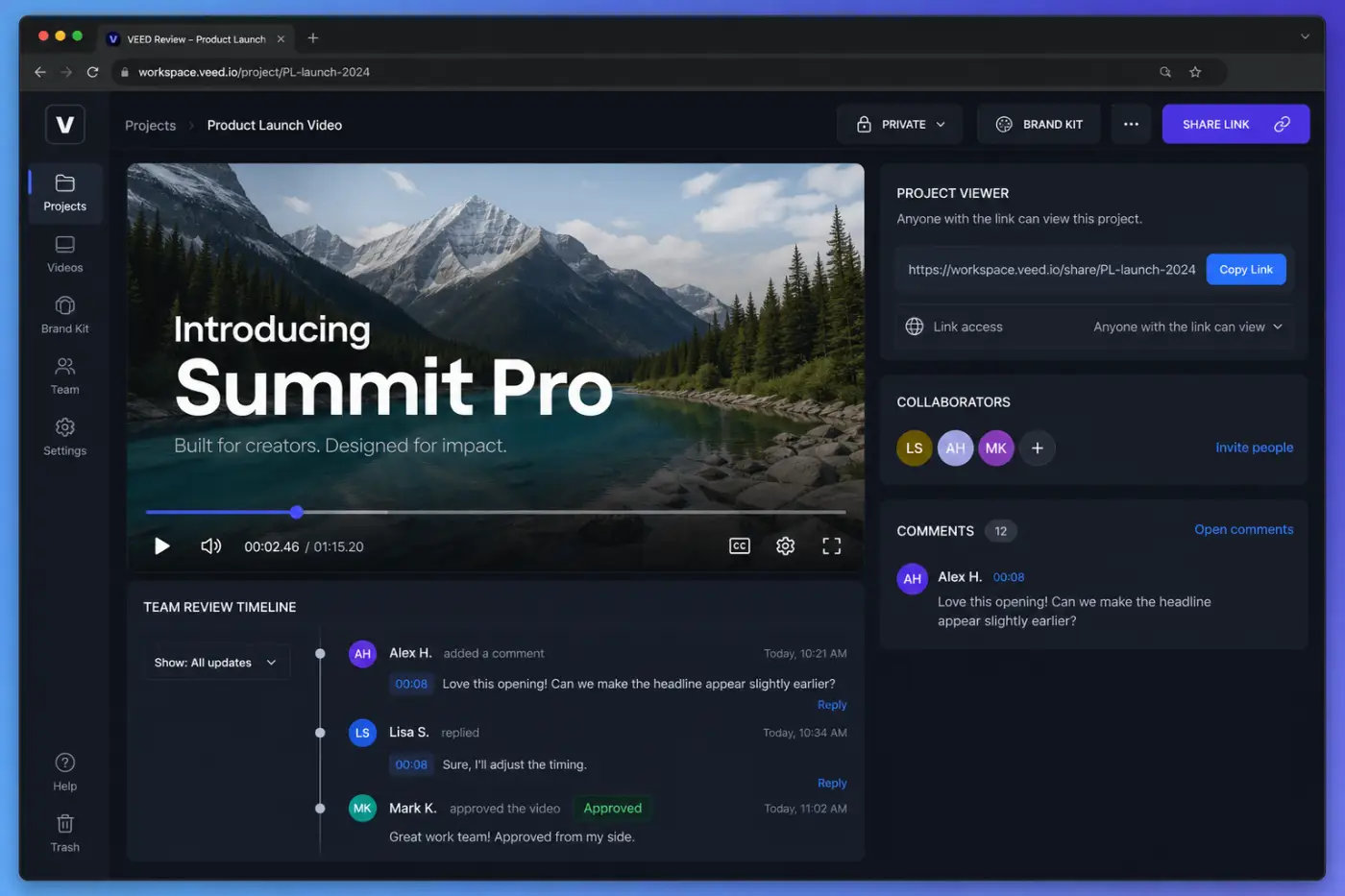 VEED workspace collaboration with project viewer review link Brand Kit and privacy controls