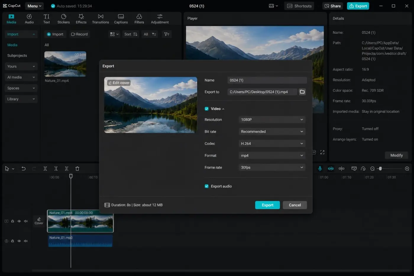 CapCut H.264 MP4 test export for a black video that still has audio