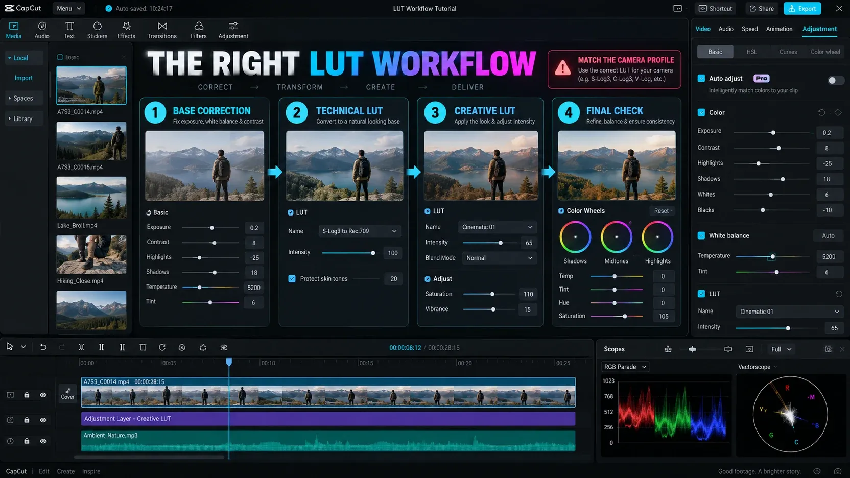 Technical and creative LUT roles shown in a CapCut color workflow